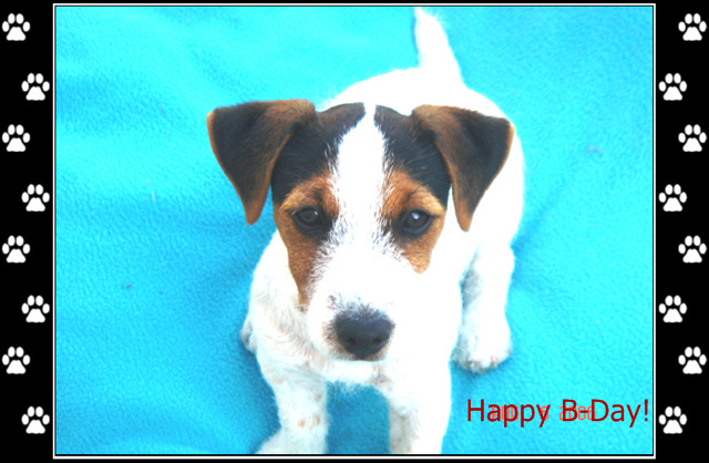 天信：自古英雄出少年