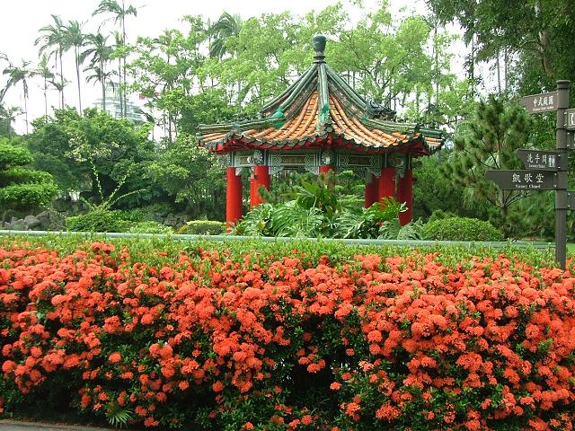 林木：台湾行（1）