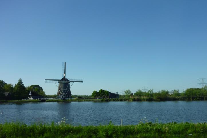 林木：Go Dutch (1)