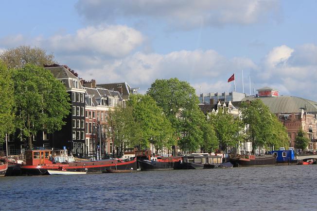 林木：Go Dutch (2)