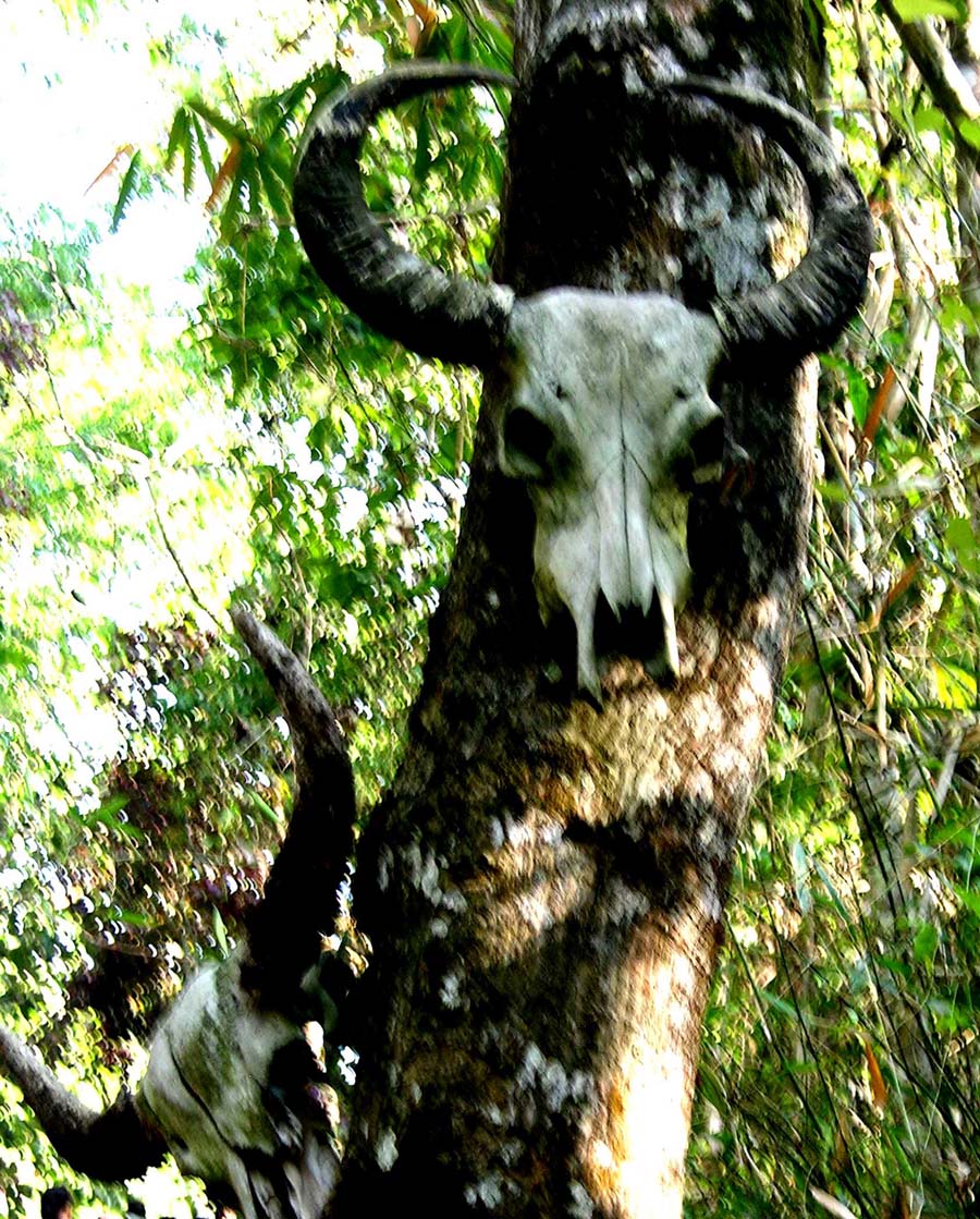 醉雷公： 屠龙彩云之南13