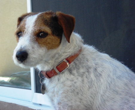 天信： 闲散人茶酒乐逍遥 (尾声)