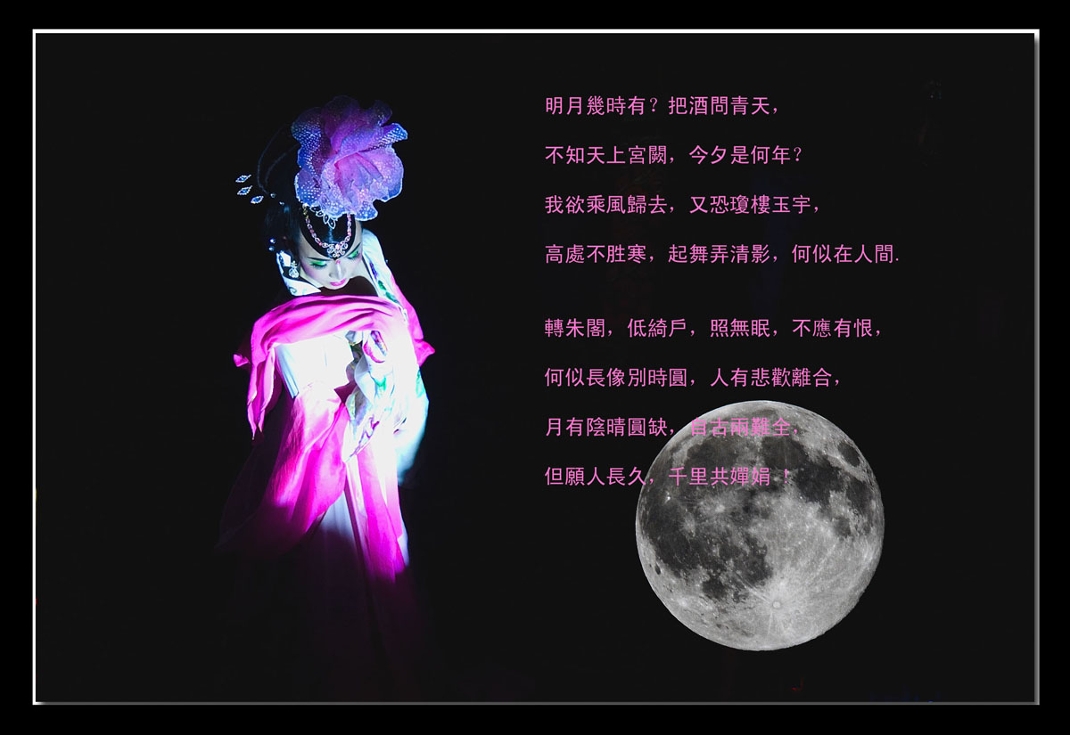 榕树头：起舞弄清影, 何似在小站