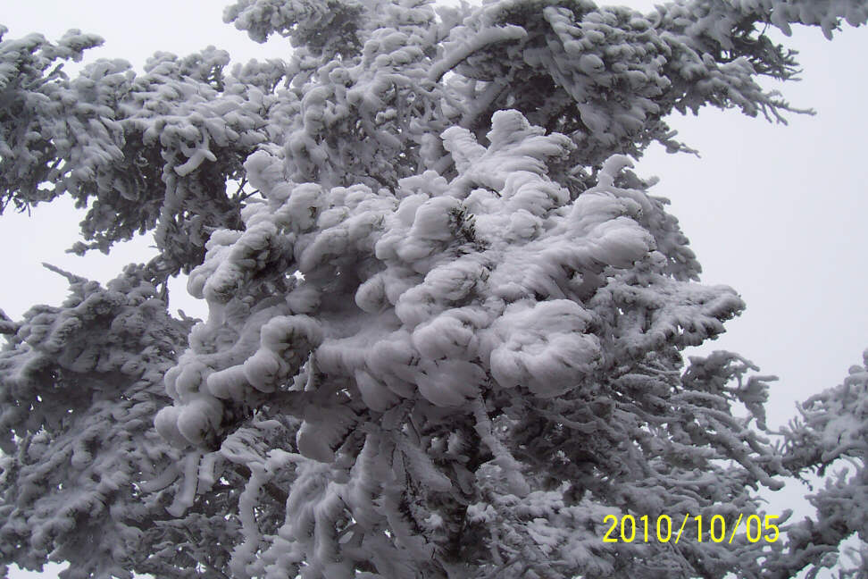 王木木：烟山遇雪