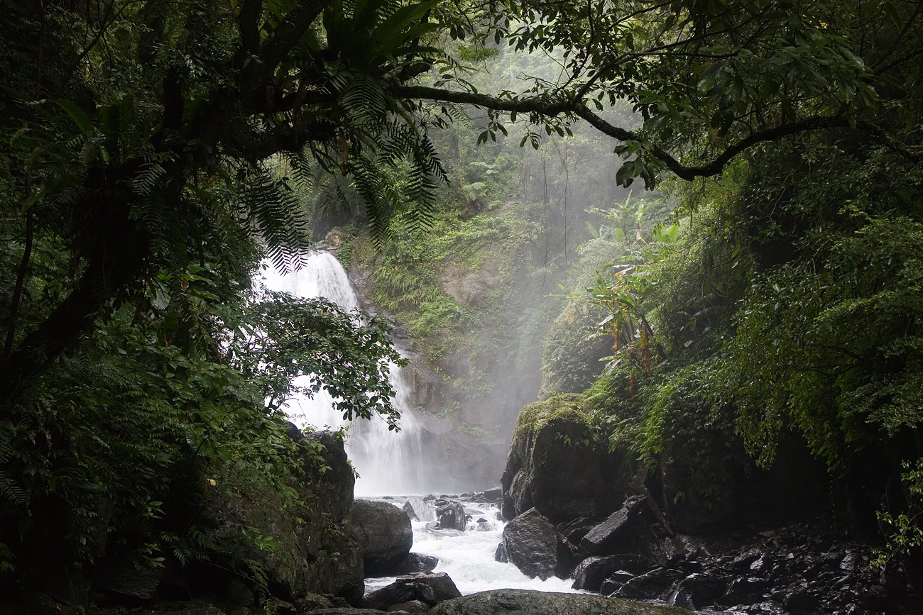 大土佬儿：台湾雨林