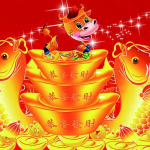 星光：过年了，祝大家兔年快乐！