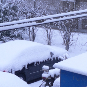 北京：又下雪了