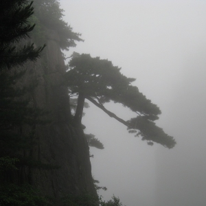 pilot：黄山．梦回