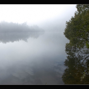 榕树头：徒步 - Crosslands Reserve To Berowra Water