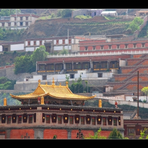 榕树头：青藏之旅