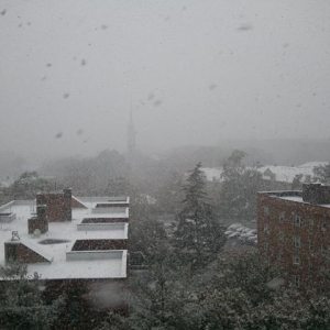 马骝：入冬第一场雪