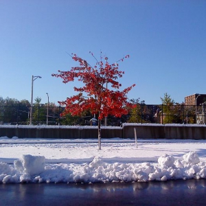 tieshu: 巧还是不巧？东部十月暴风雪一瞥