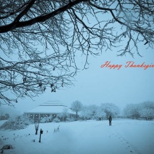 岳麓山人：Happy Thanksgiving 2011