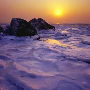 雪儿：这里风景独好3
