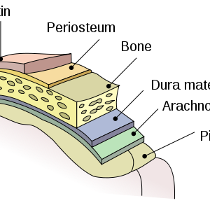 漫人：《消失的符号》（The Lost Symbol）读后