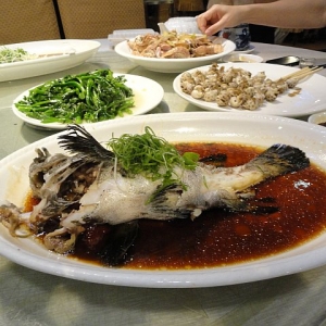 发哥：美食前线 （二）