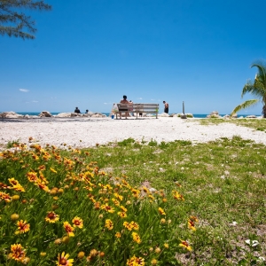 岳麓山人：迈阿密/KEY WEST 风光