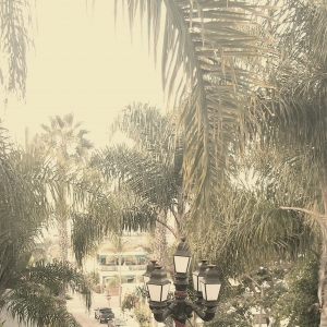 老头乐：san diego (1)