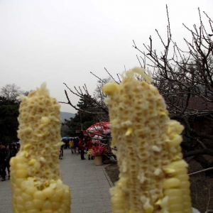 雪儿：清明踏青