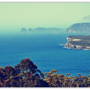 蓝莓：塔斯马尼亚（Tasmania）